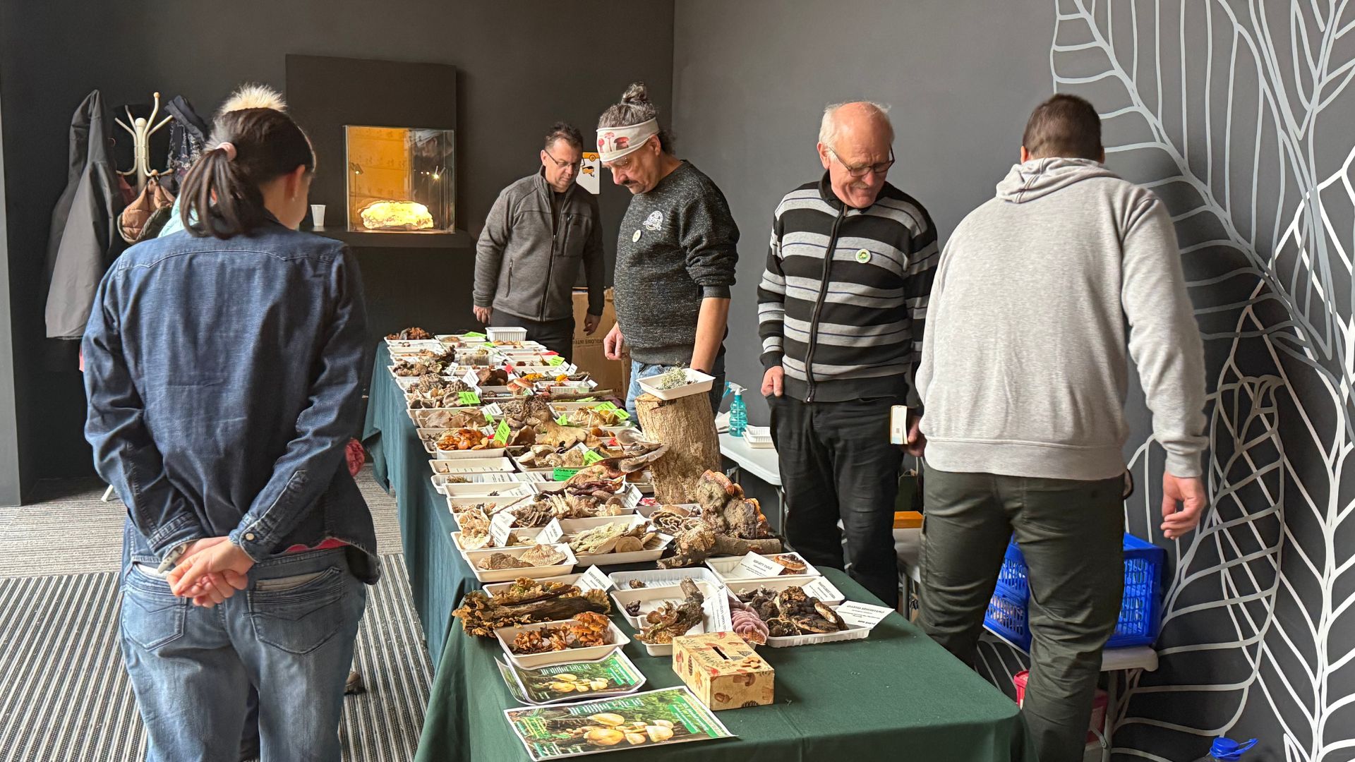 Miskolci Gombász Egyesület_Szeleta szülinap.jpg